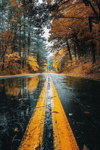 雨上がりの道路