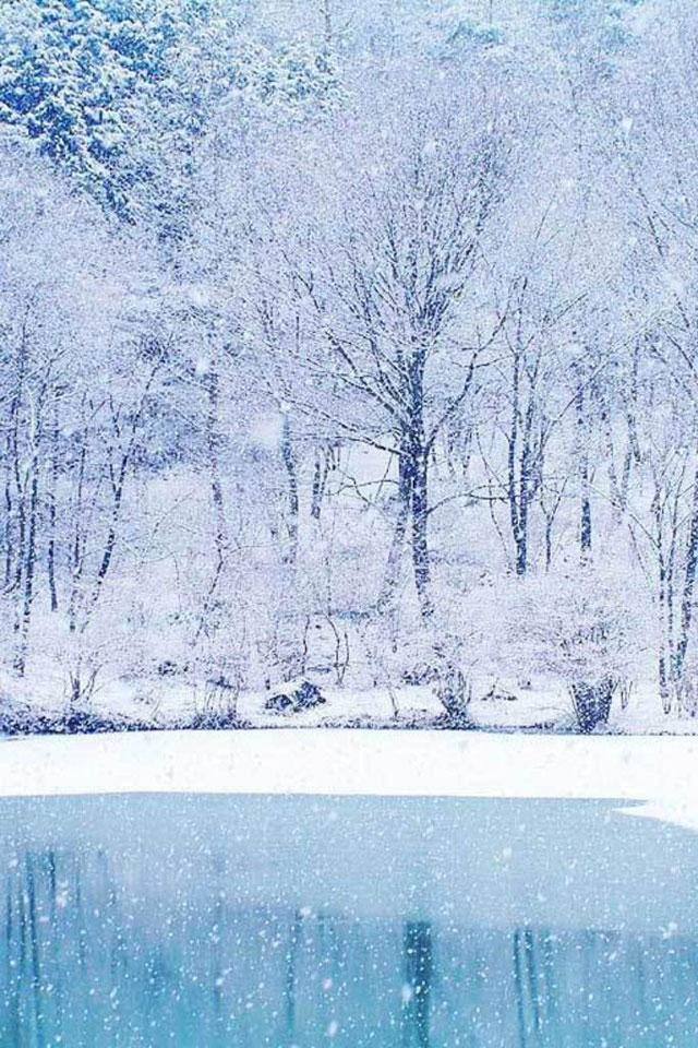 透き通るような雪景色 Iphone壁紙ギャラリー