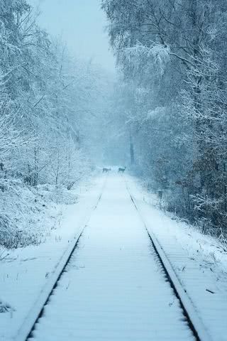 雪に包まれた線路