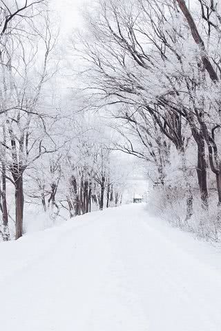 雪道