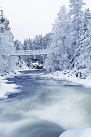 川原の雪景色