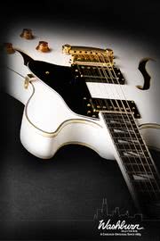 Washburn Guitars