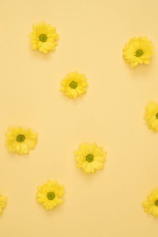 黄色い花柄