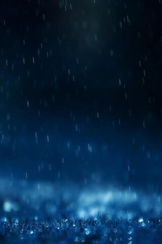 夜の雨