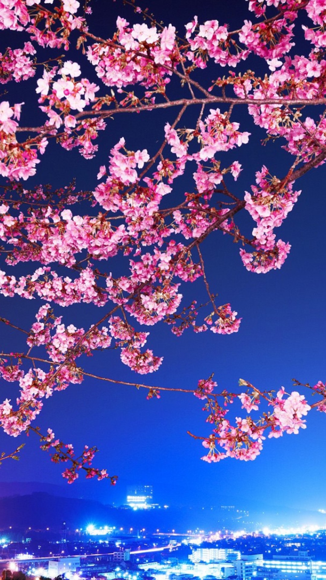 スマホ 夜桜 桜 かっこいい 壁紙 Saesipapictnwx