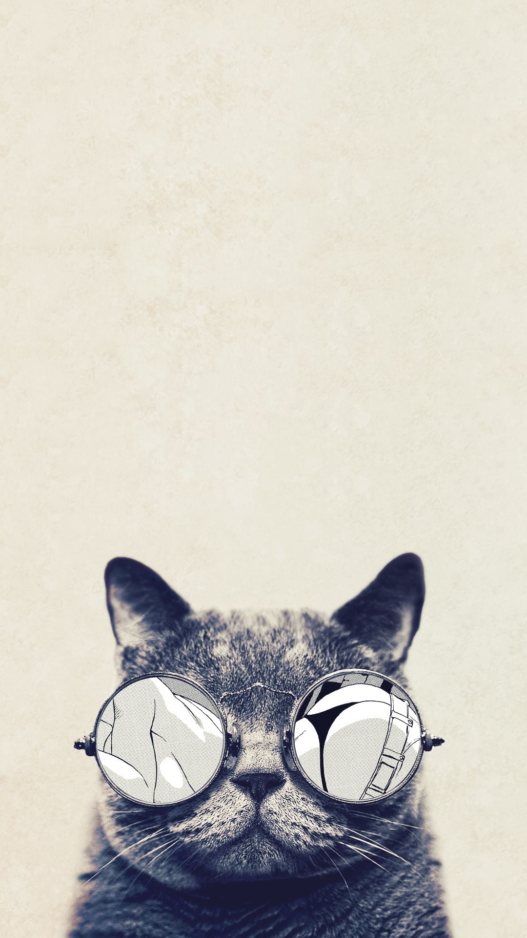 Elbloggdesharathehedgehog 無料でダウンロード サングラス Iphone 壁紙 おしゃれ 猫
