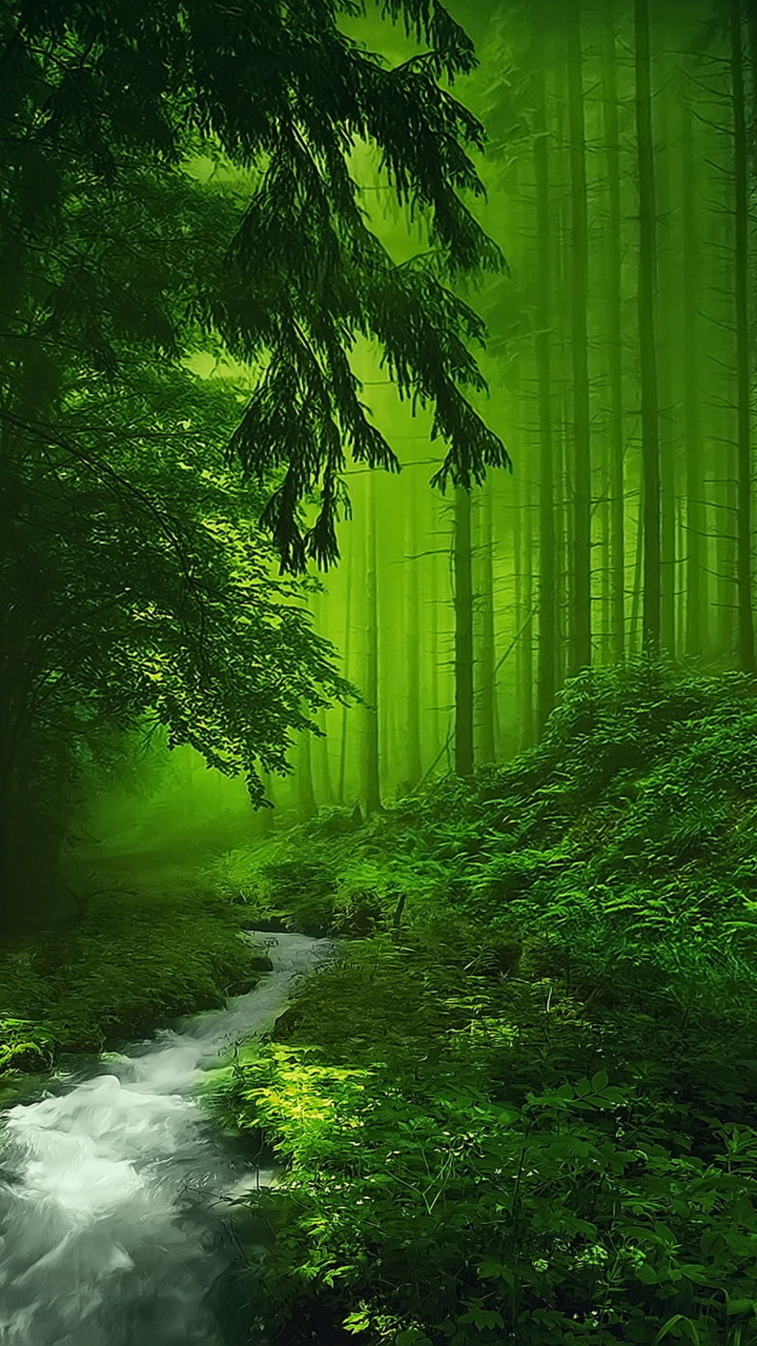 緑色の森 Iphone12 スマホ壁紙 待受画像ギャラリー
