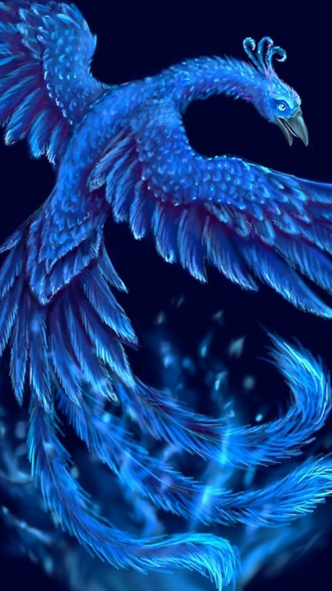 最高のコレクション 鳳凰不死鳥フェニックス 美しい かっこいい フェニックス 鳳凰 イラスト