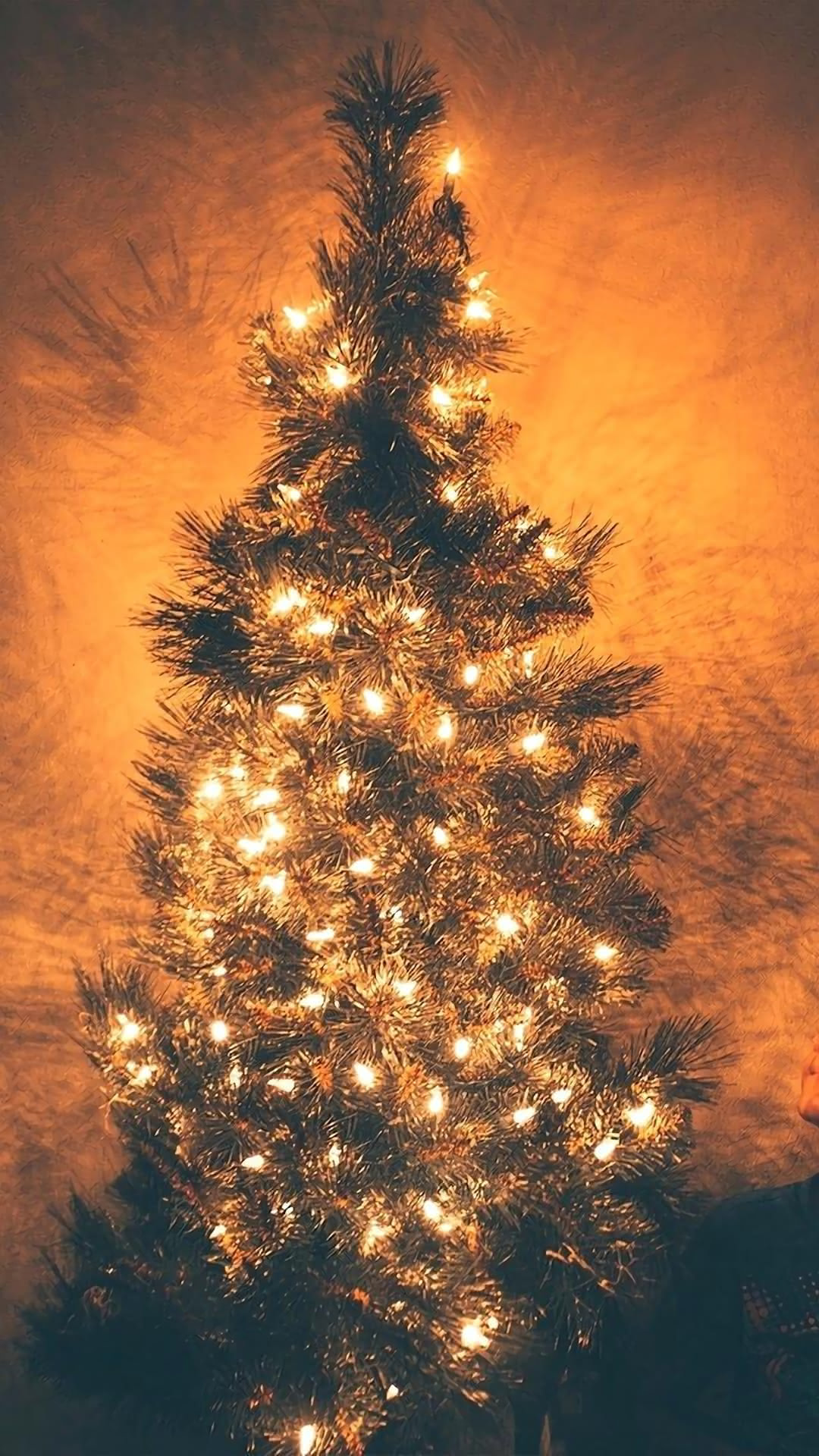 クリスマスツリー Iphone12 スマホ壁紙 待受画像ギャラリー