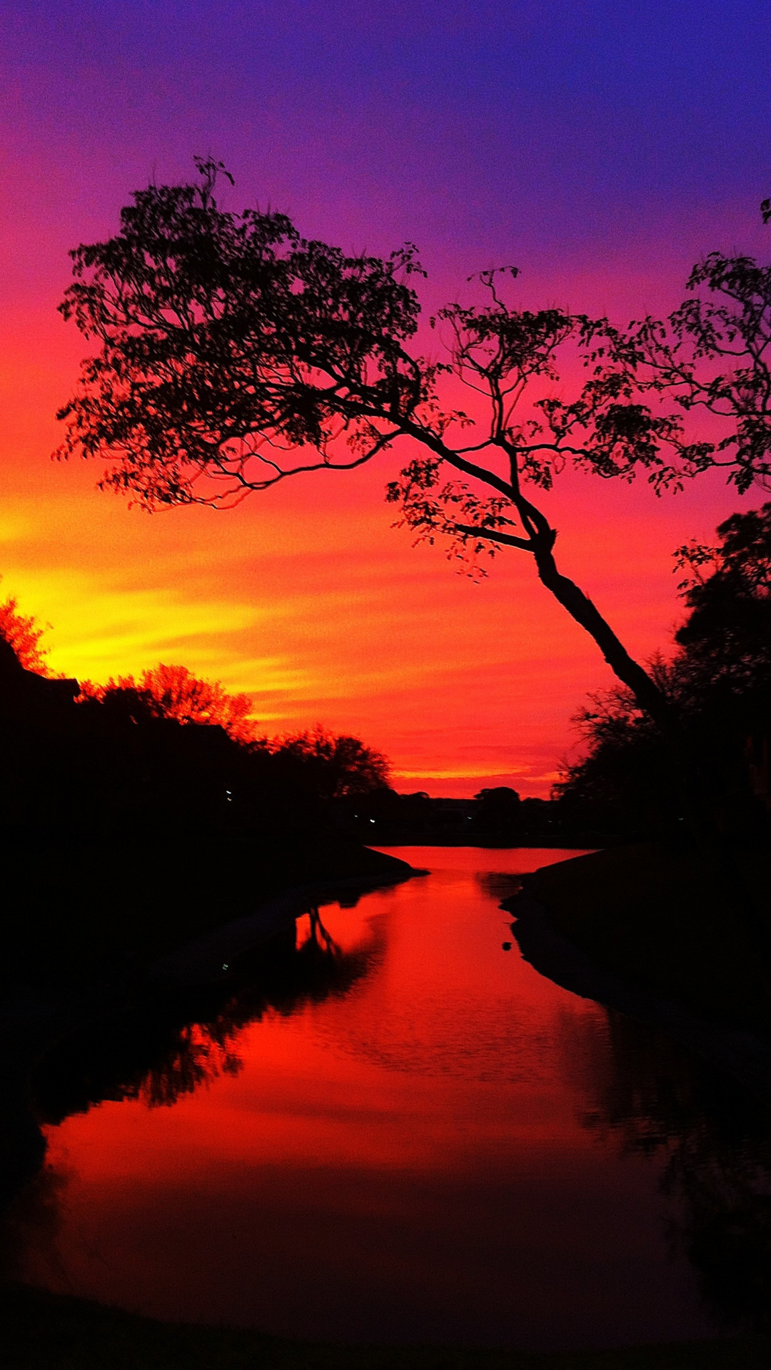 フロリダの真っ赤な夕焼け Iphone12 スマホ壁紙 待受画像ギャラリー