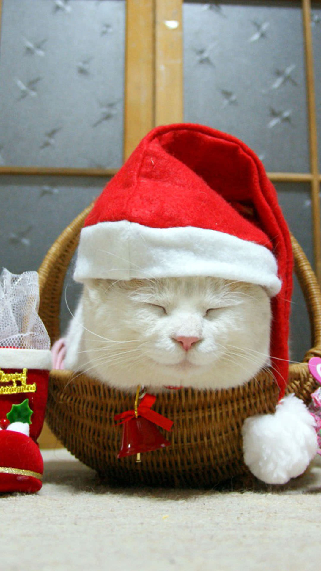 かわいいネコのクリスマス Iphone12 スマホ壁紙 待受画像ギャラリー