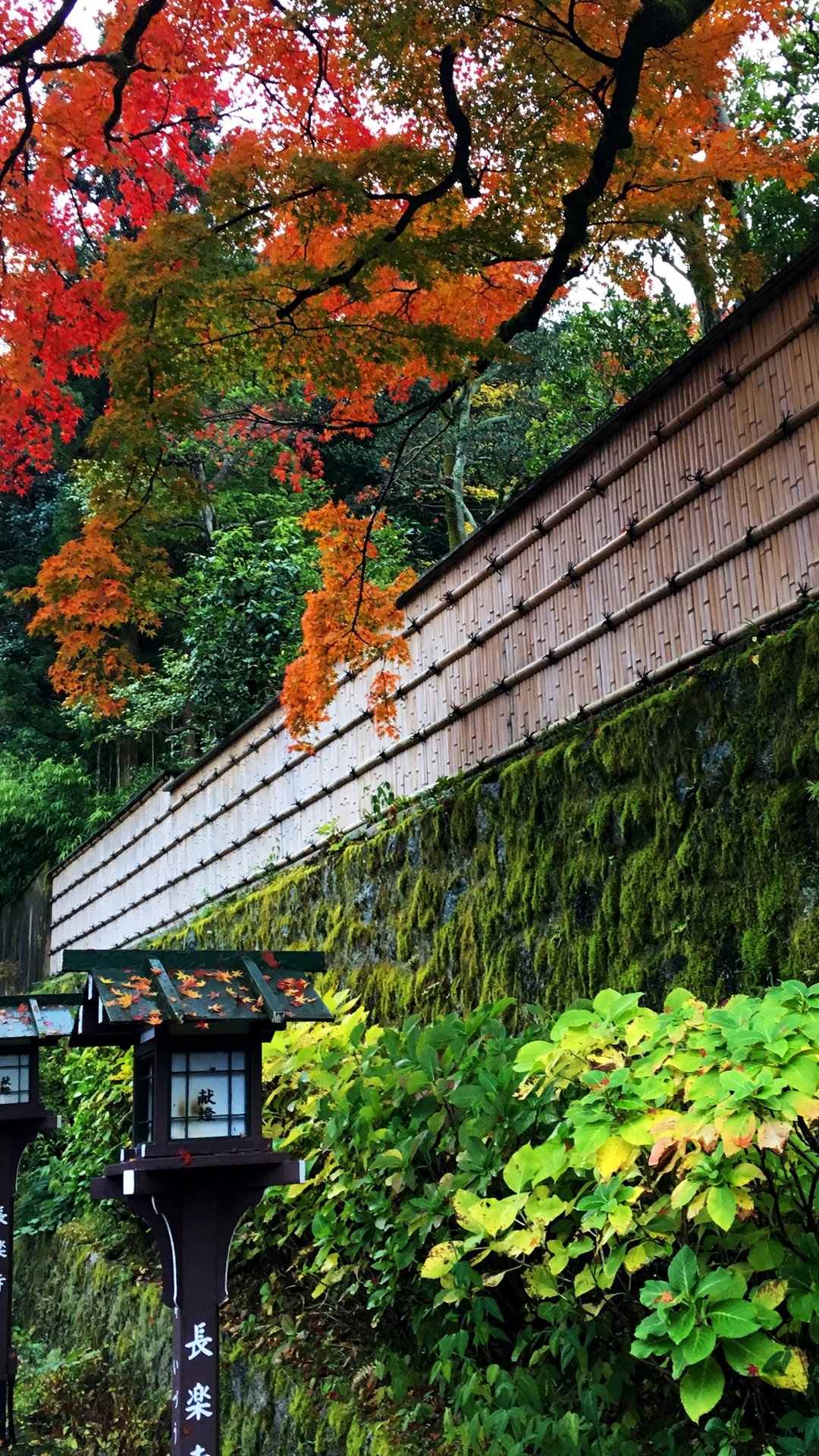 京都の日本庭園 Iphone12 スマホ壁紙 待受画像ギャラリー