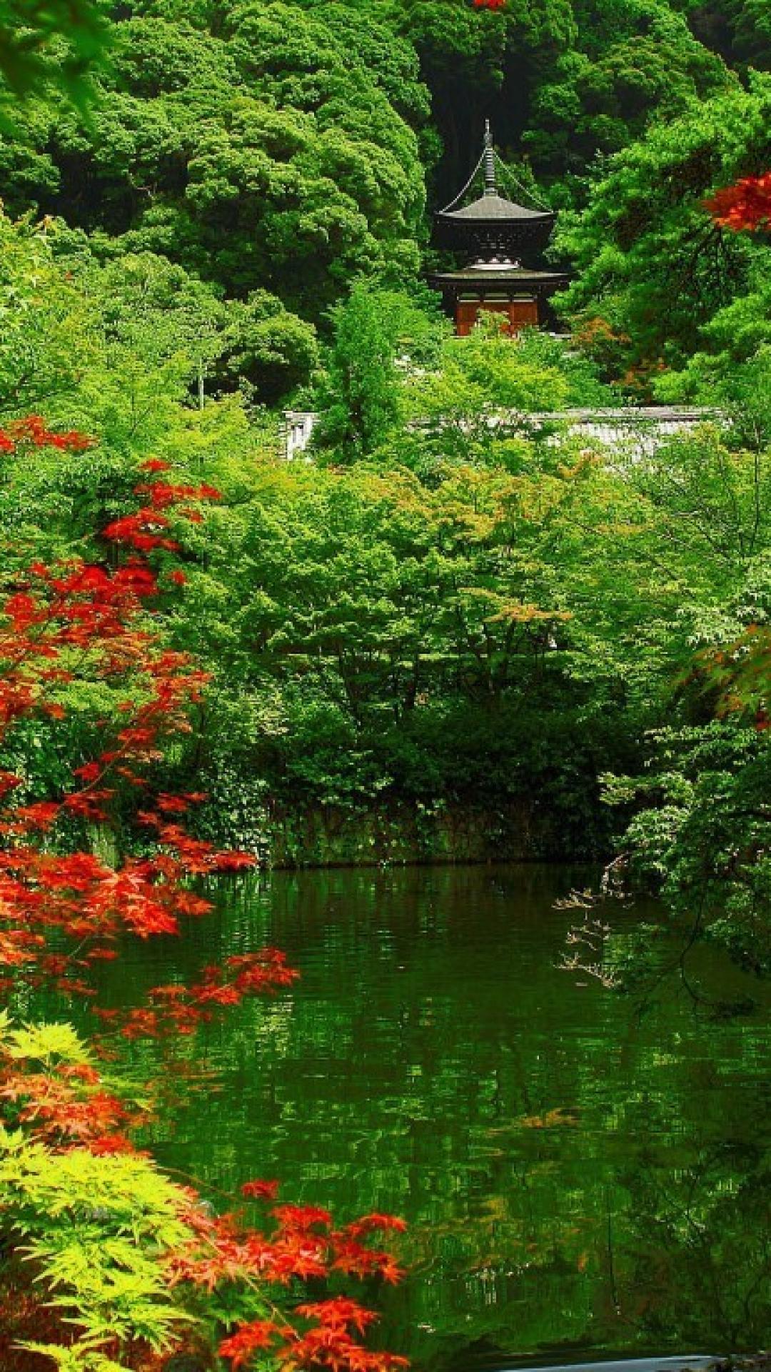 京都の日本庭園 Iphone12 スマホ壁紙 待受画像ギャラリー
