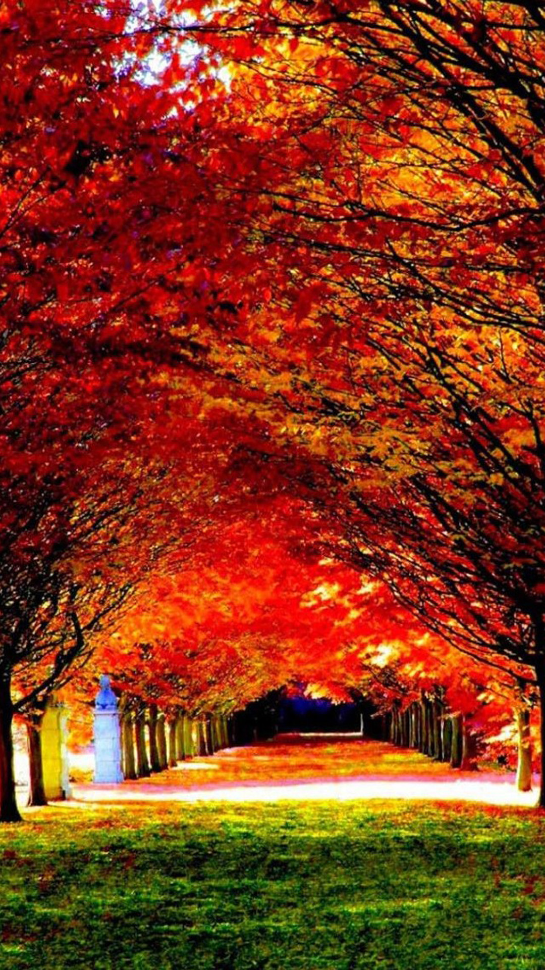 Nature Red Trees Road Iphone 6 Wallpaper Download Iphone Wallpapers Ipad Wallpapers One Stop Download Iphone12 スマホ壁紙 待受画像ギャラリー