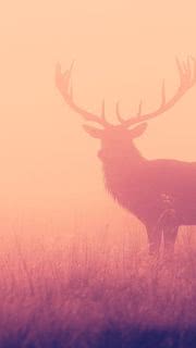 鹿のシルエット ピンク シルバー Iphone12 スマホ壁紙 待受画像ギャラリー