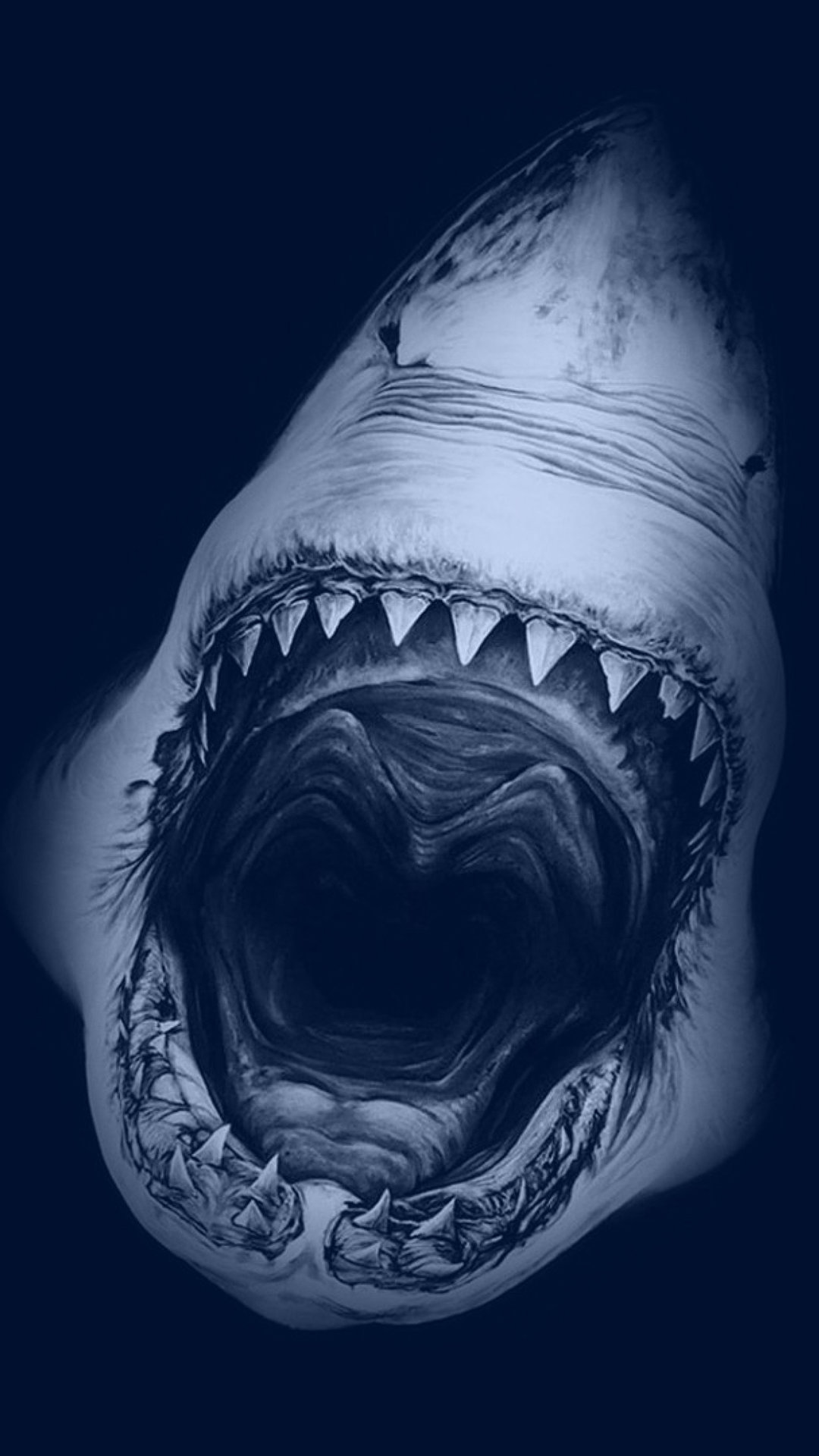 恐ろしいサメ Iphone12 スマホ壁紙 待受画像ギャラリー