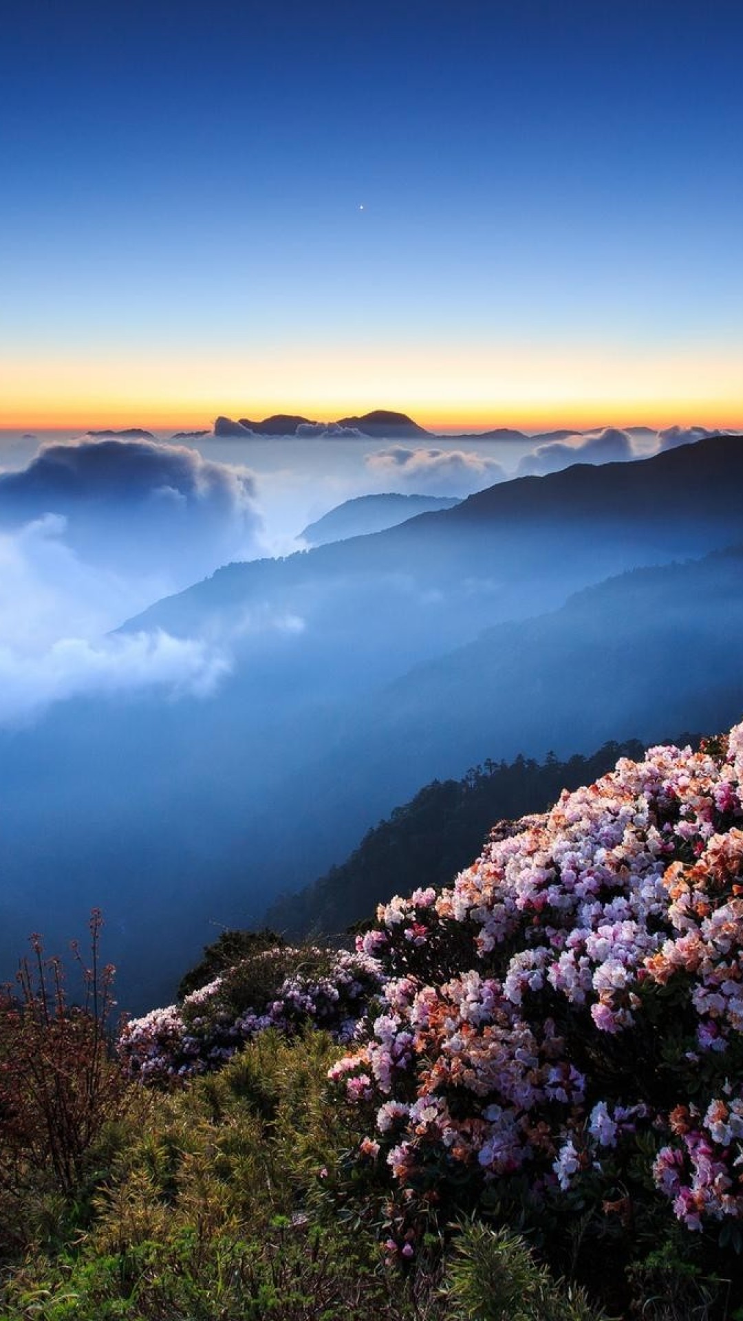 Taiwan Clouds Flowers Fog Hills Wallpaper Iphone12 スマホ壁紙 待受画像ギャラリー