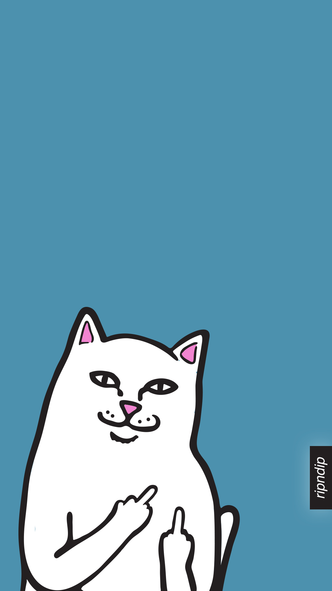 選択した画像 Iphone 壁紙 猫 イラスト 人気のhd壁紙