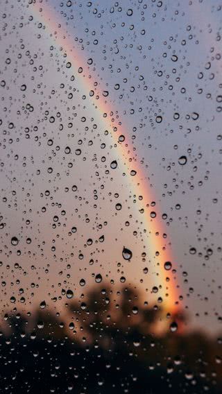 虹と雨