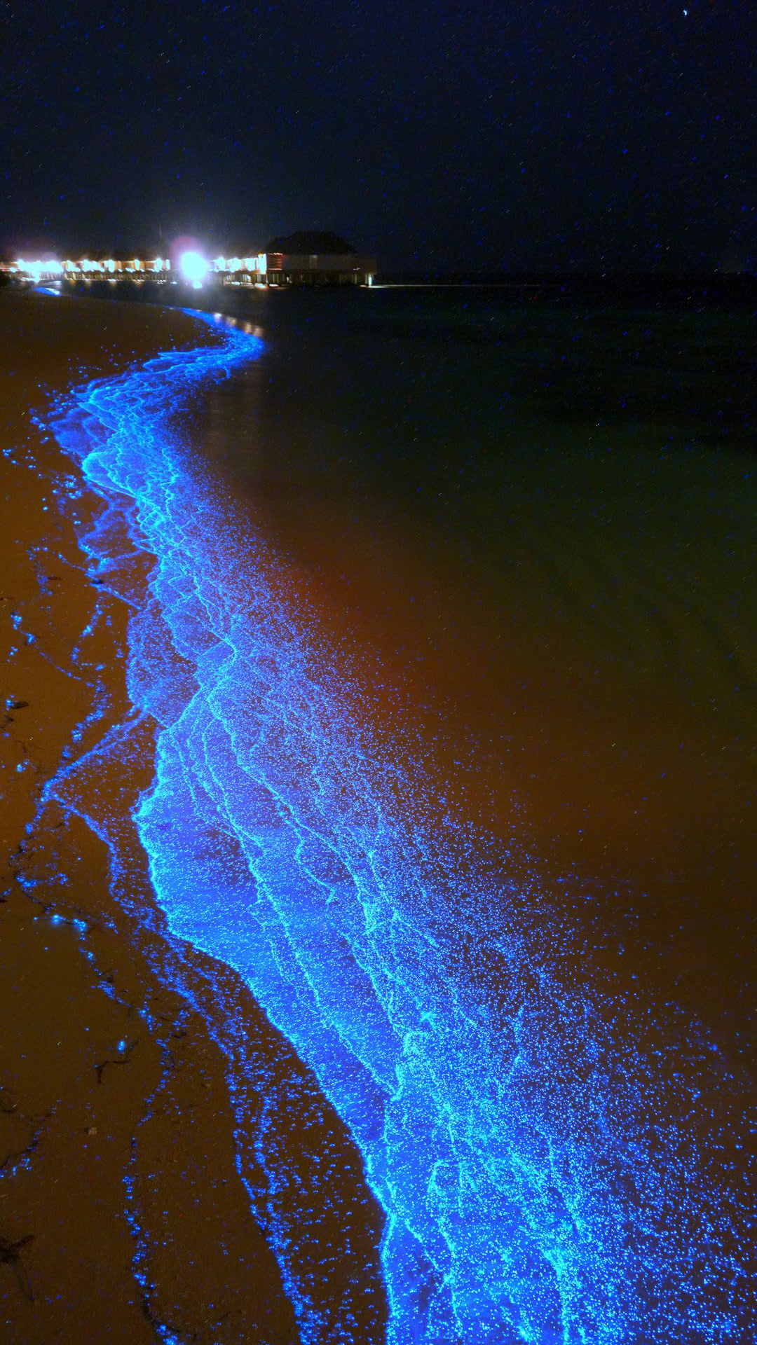 青く光り輝く夜の海 Iphone13 スマホ壁紙 待受画像ギャラリー