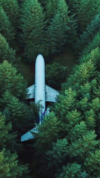 森の飛行機