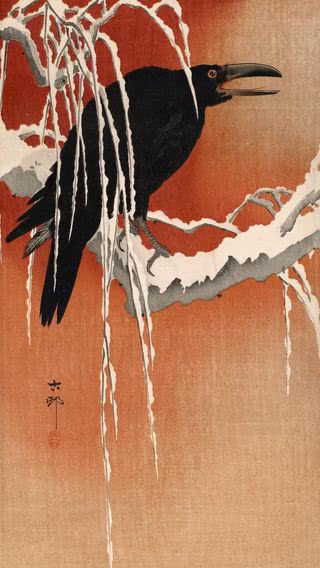 小原古邨 「樹雪の烏」 | 日本画