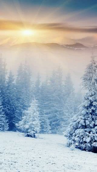 冬の自然