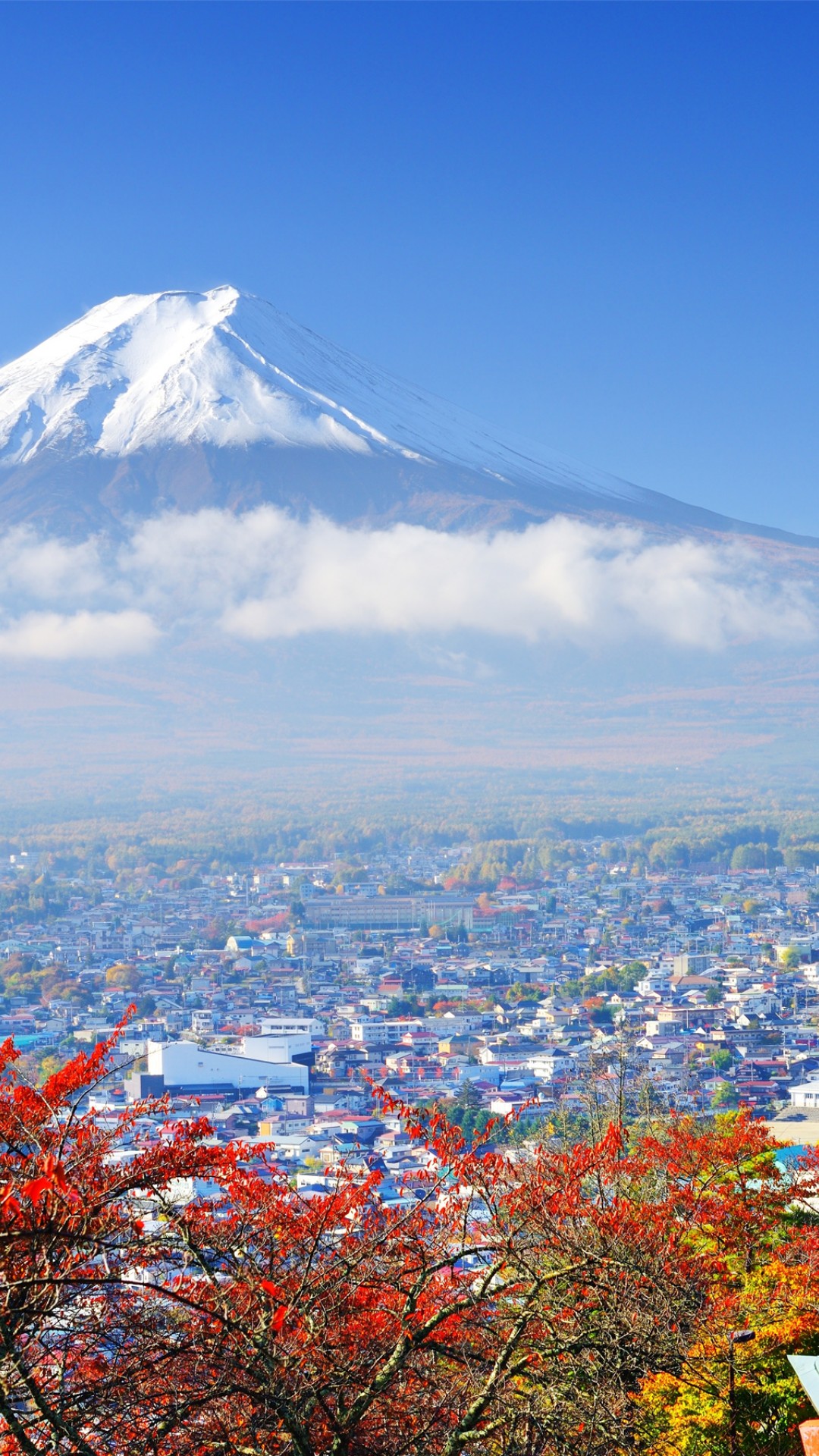 富士山 Iphone13 スマホ壁紙 待受画像ギャラリー