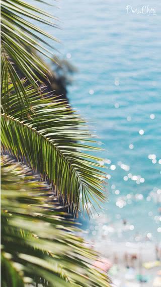 トロピカルビーチ | 夏にぴったりなiPhone壁紙