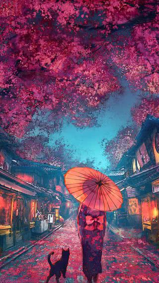 【230位】夜桜