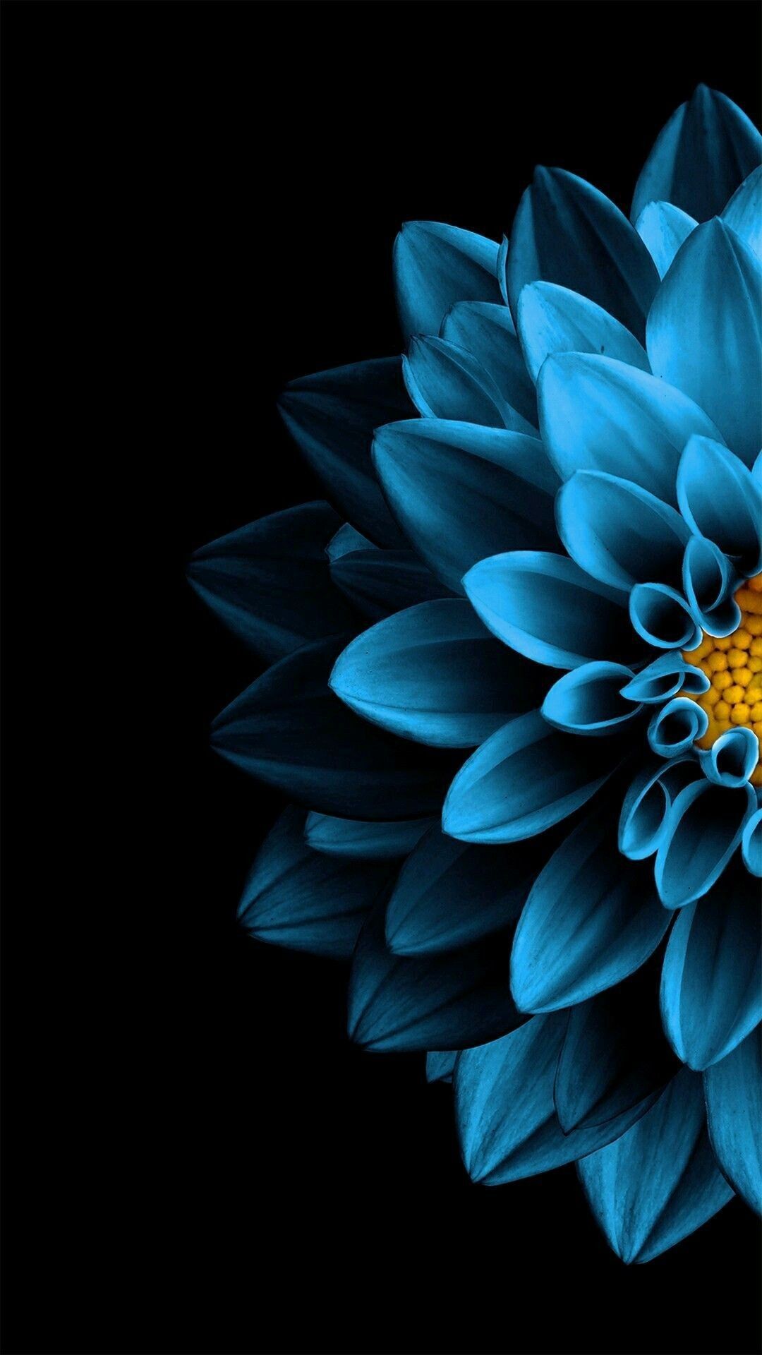 Blue Flower Iphone13 スマホ壁紙 待受画像ギャラリー