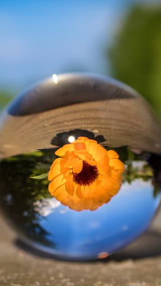 花のガラス玉