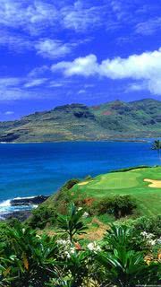 トロピカルなハワイの風景