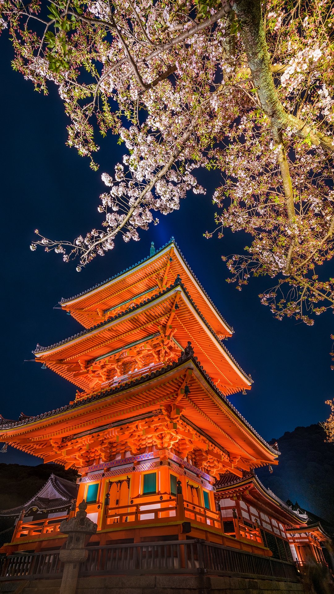 京都 清水寺の夜桜 Iphone13 スマホ壁紙 待受画像ギャラリー