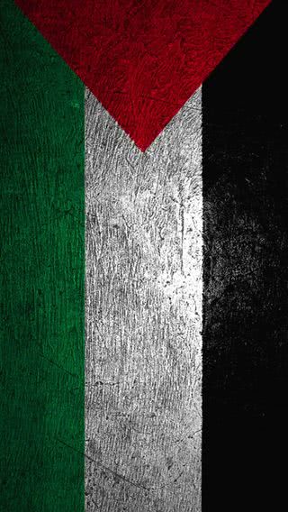 パレスチナ国旗