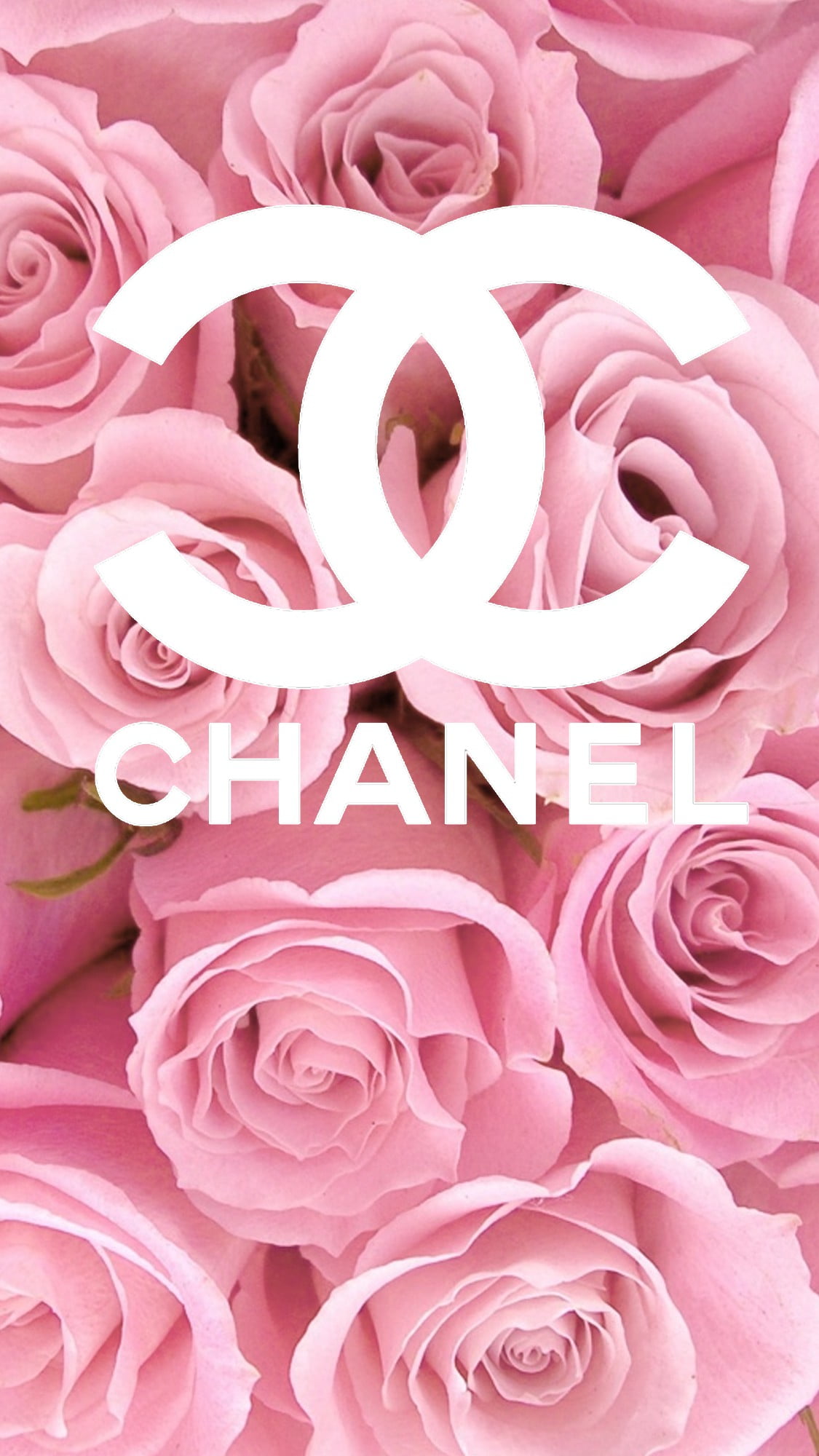 Chanel シャネル 薔薇 Iphone13 スマホ壁紙 待受画像ギャラリー