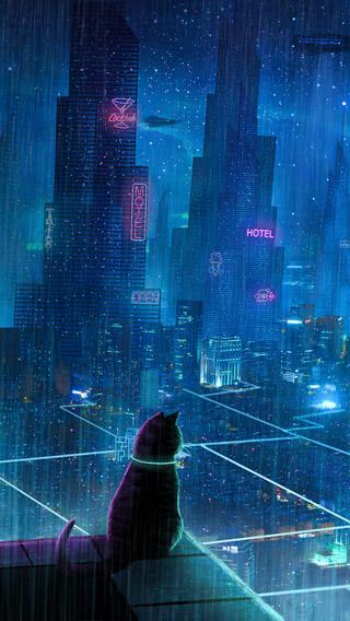 【258位】雨夜の街を見下ろす猫