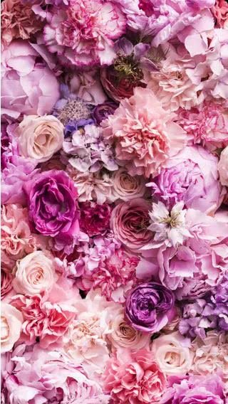 かわいい紫の花 Iphone14 スマホ壁紙 待受画像ギャラリー