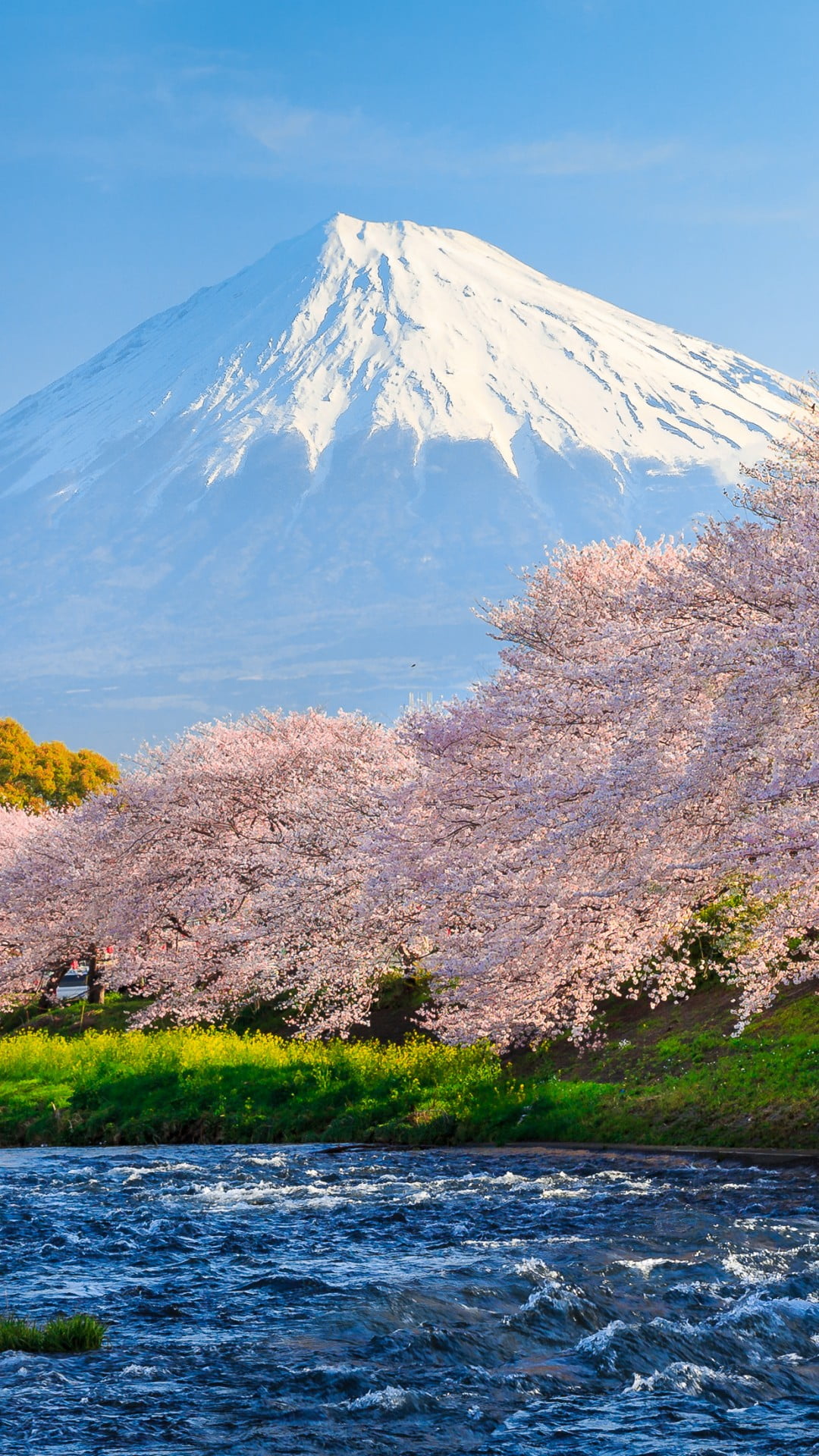 春の富士山 Iphone14 スマホ壁紙 待受画像ギャラリー