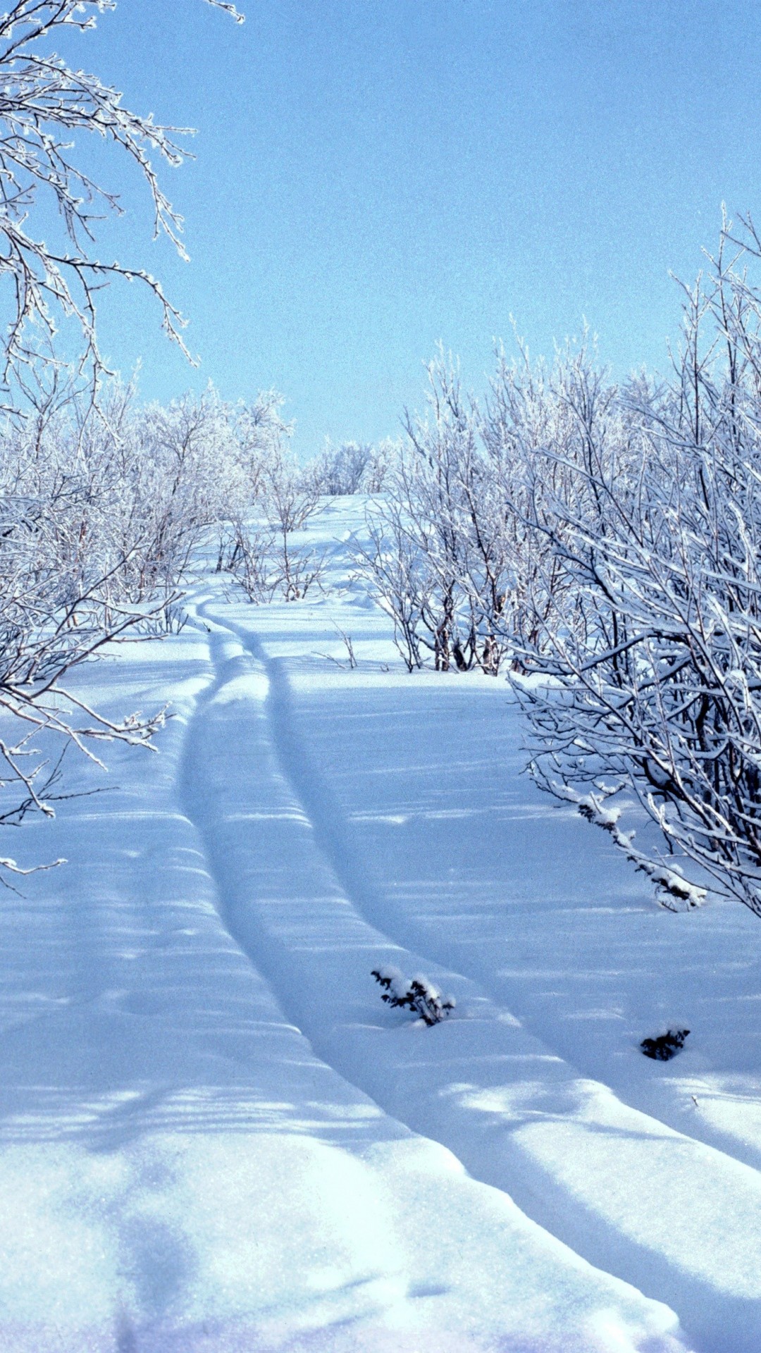 雪の轍 冬のiphonex壁紙 Iphone14 スマホ壁紙 待受画像ギャラリー