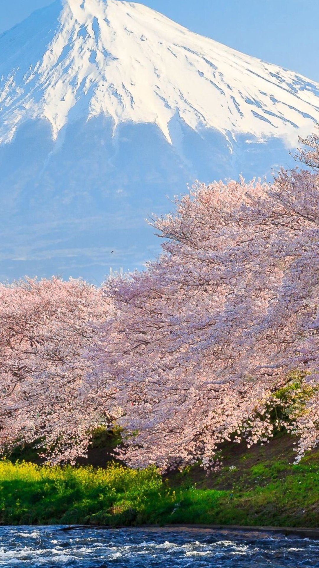 富士山と桜 Iphone14 スマホ壁紙 待受画像ギャラリー