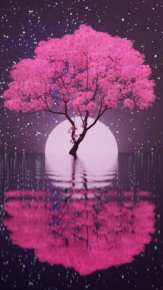 【10位】夜桜