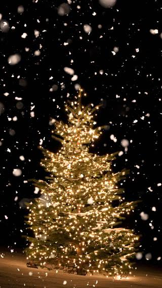 【3位】クリスマスツリー|クリスマスのiPhone壁紙