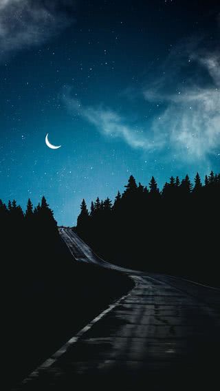 月夜の道路