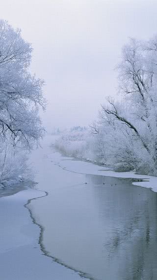 【新着7位】冬の川