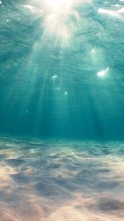透明な海の中 | 透明感がおしゃれなiPhone壁紙