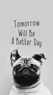 【おしゃれ】"Tomorrow Will Be A Better Day"  英文のiPhone壁紙