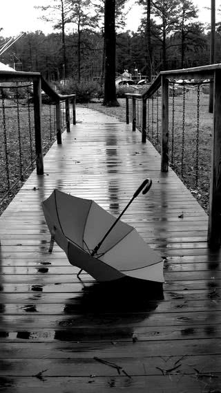 【176位】傘 | モノクロ写真