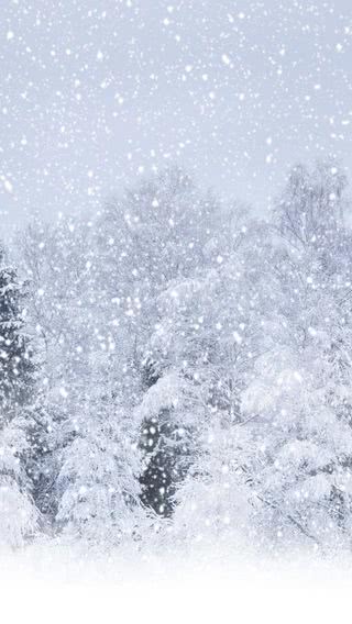 真っ白な雪