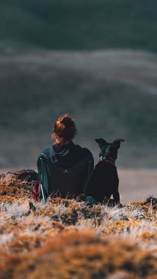 犬の散歩